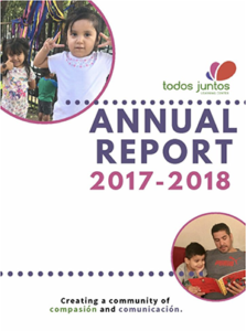 annual report 2017 to 2019